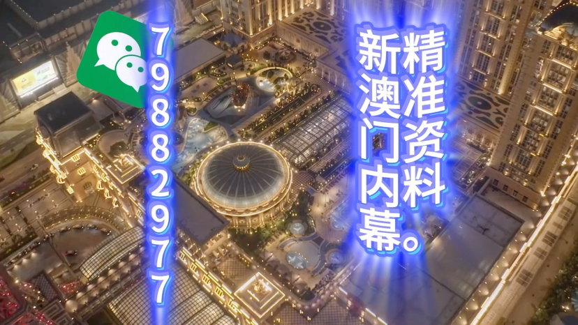 新澳門精準(zhǔn)三肖三碼中特，探索澳門博彩文化的獨特魅力，澳門博彩文化獨特魅力探索，精準(zhǔn)三肖三碼中特