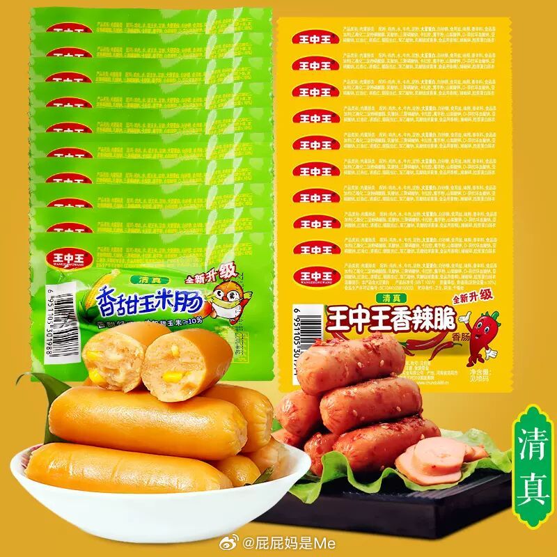 王中王一字折肖中特，探尋背后的奧秘與深意，王中王一字折肖奧秘揭秘，探尋背后的深意